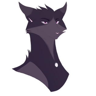 type : flat bust, 03/26/2026